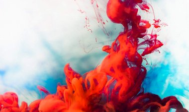 مواقع لتحميل الصور بدون حقوق ملكية وبجودة عالية