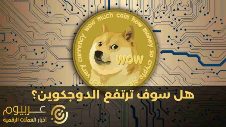 هل سوف ترتفع الدوجكوين بنسبة 50% ؟