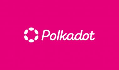 ما هو مشروع Polkadot وهل الوقت مناسب للشراء؟