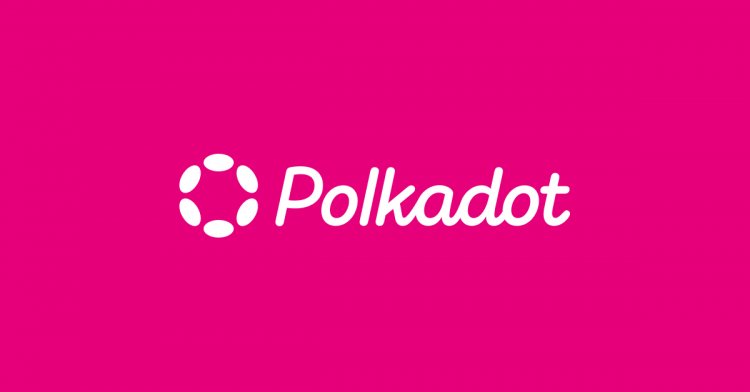 ما هو مشروع Polkadot وهل الوقت مناسب للشراء؟